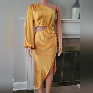 Alice elle NWT Dress size 12.